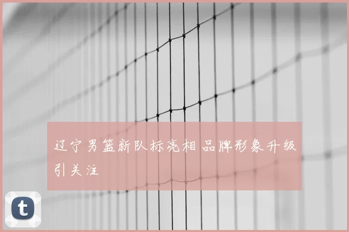 辽宁男篮新队标亮相 品牌形象升级引关注