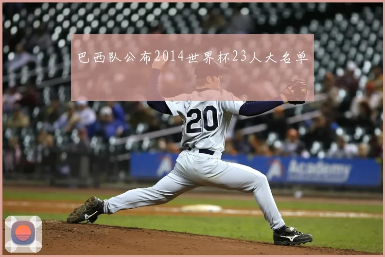 巴西队公布2014世界杯23人大名单