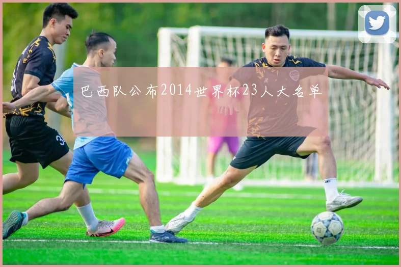 巴西队公布2014世界杯23人大名单