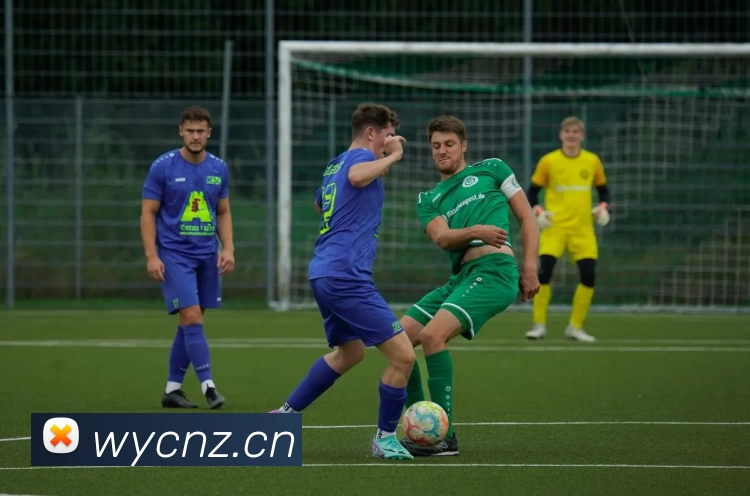 多媒体互动体验